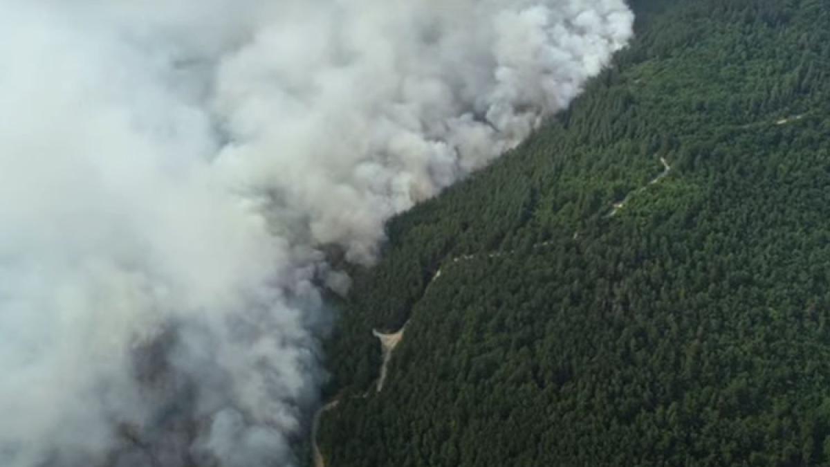 Bulgaria este și ea afectată de incendii și caniculă