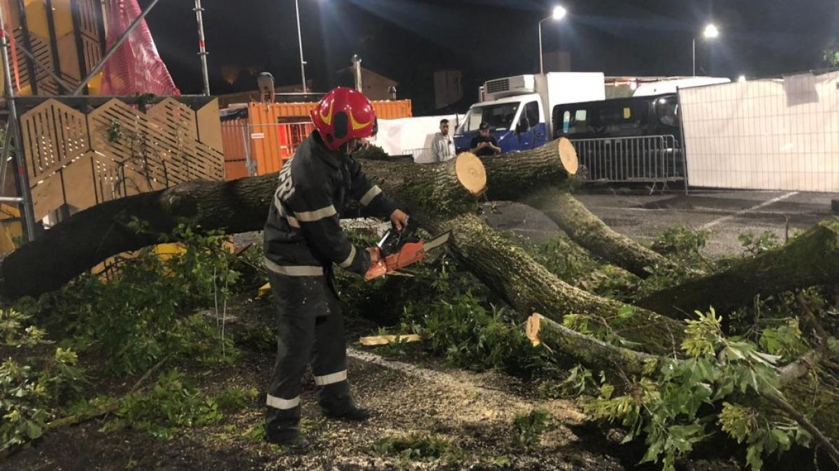 217398065_4429071960460632_5812653353194611338_n_15998900