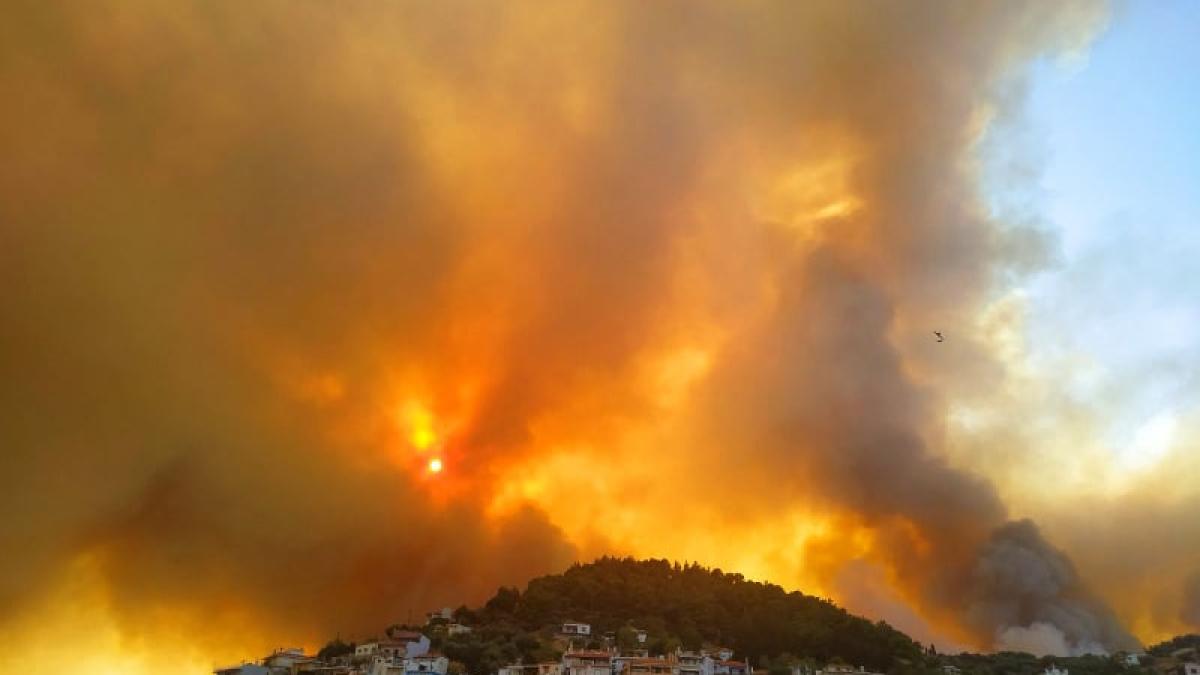 e79q3r4wyaunc0t_00376700