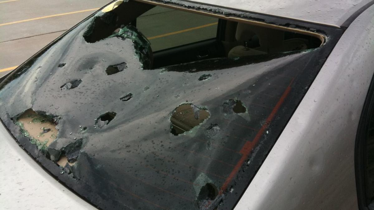 4612900959_be80be6a88_b_51698700