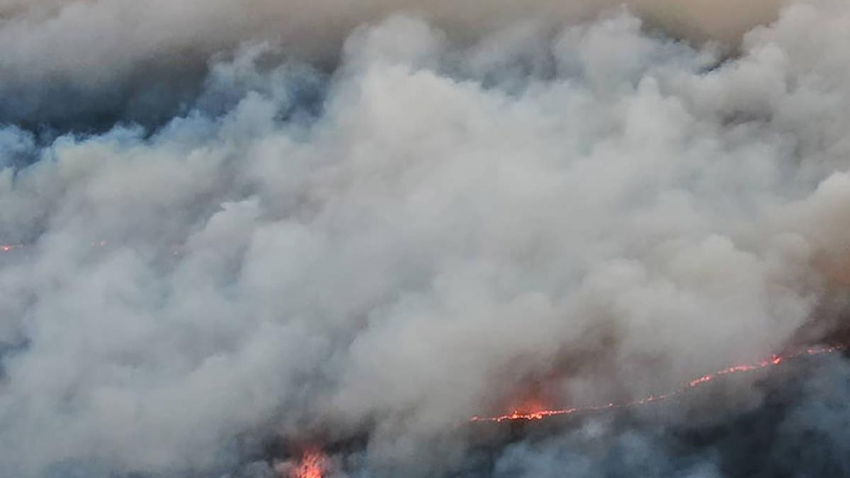 inside_lena_1_34376000