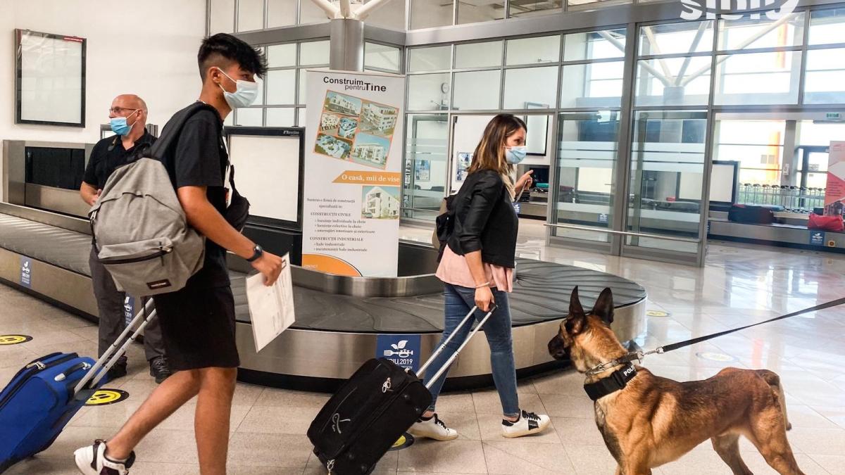 caini-aeroport-covid-10-nckb_69962700