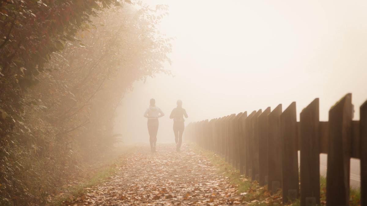 greg-rosenke-mjnbblx9w5u-unsplash_75533700