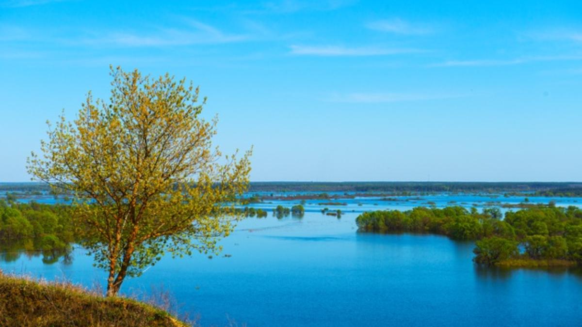 inundatii-mari_21000500