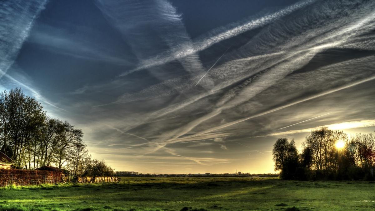 fields-384624_1280_43565600