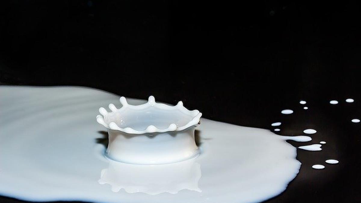 drops-of-milk-2062100_640_58180600