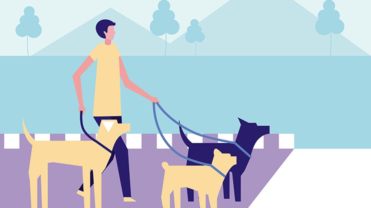 plimbarea-cainilor_32829200