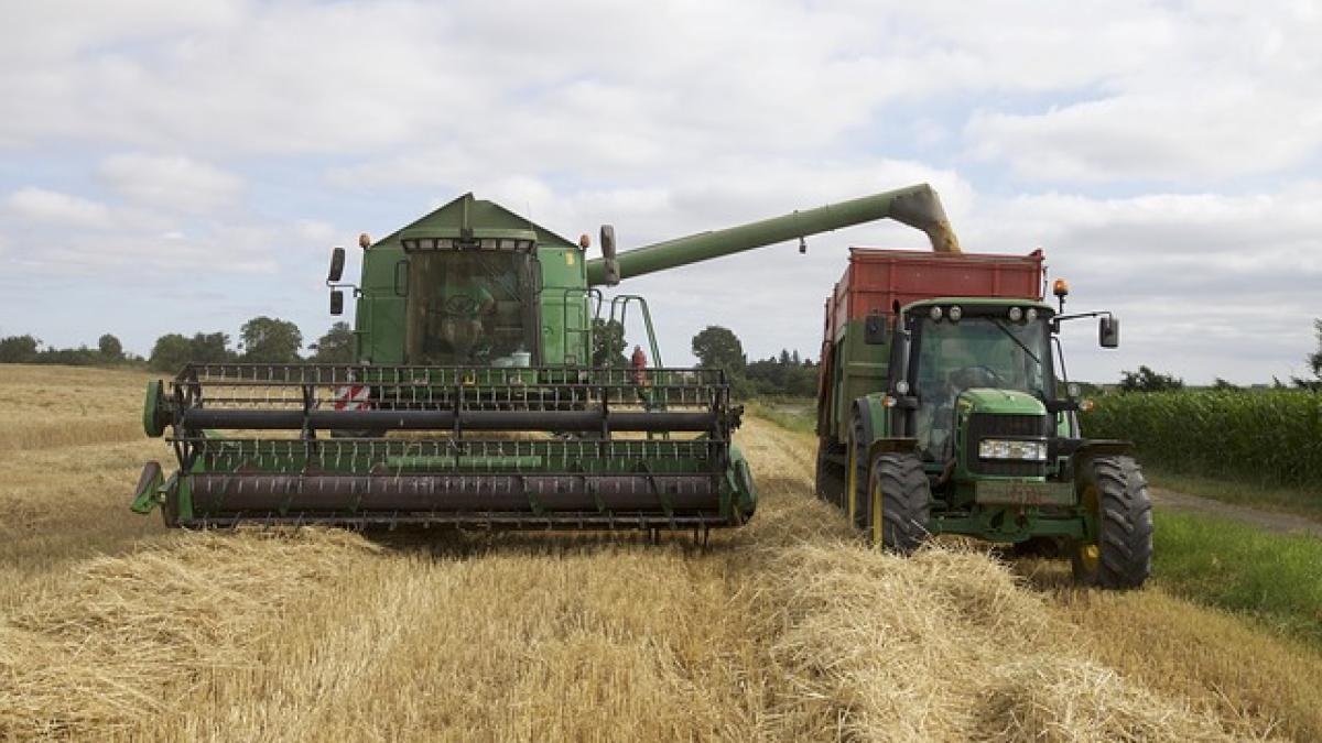 agro-industry-3244527_640_21768000