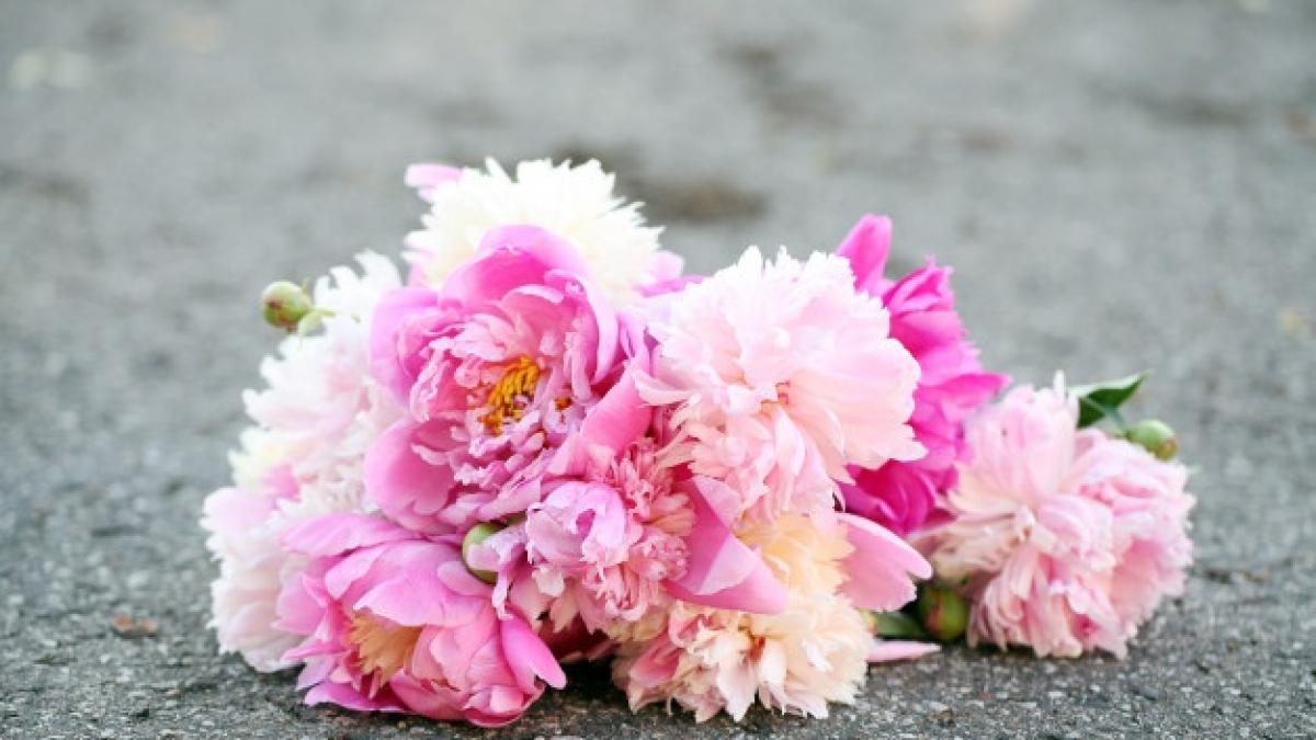 bouquet-beautiful-peonies-road_144627-1492_32968300