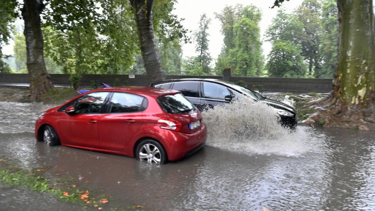 ploaie-2_resize_82606500