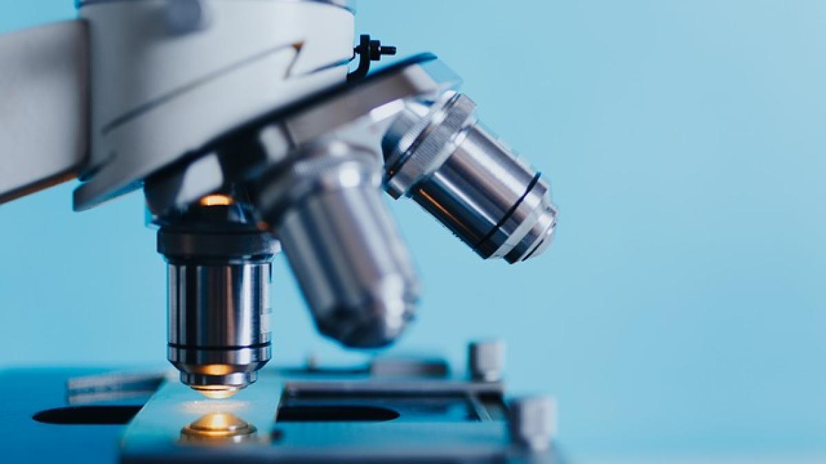 analysis-2030266_640_93601800