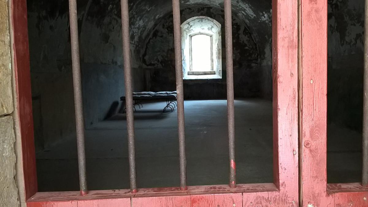 cell_1875816_960_720_01577900