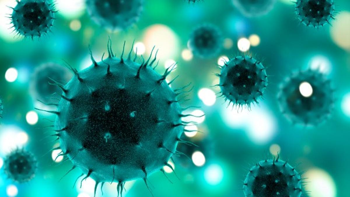 virus7_68504400