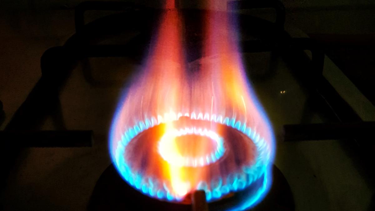 pruthvi-sagar-a-r-xxgnqatij0s-unsplash_69898600