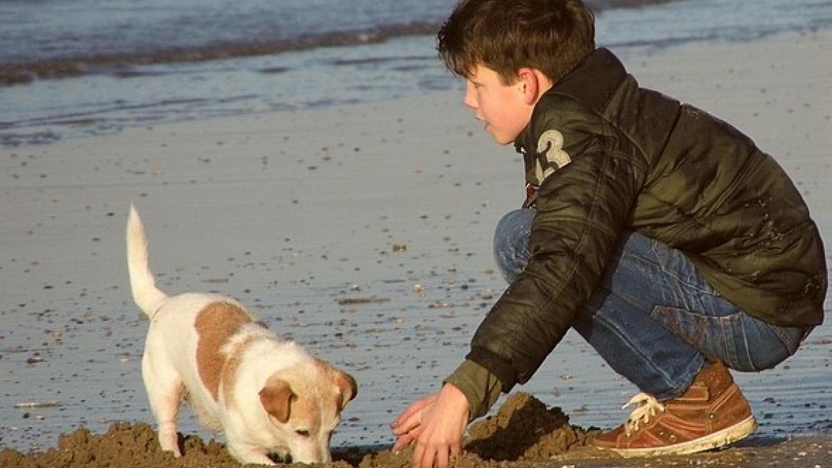 boy-244928_640_00506100