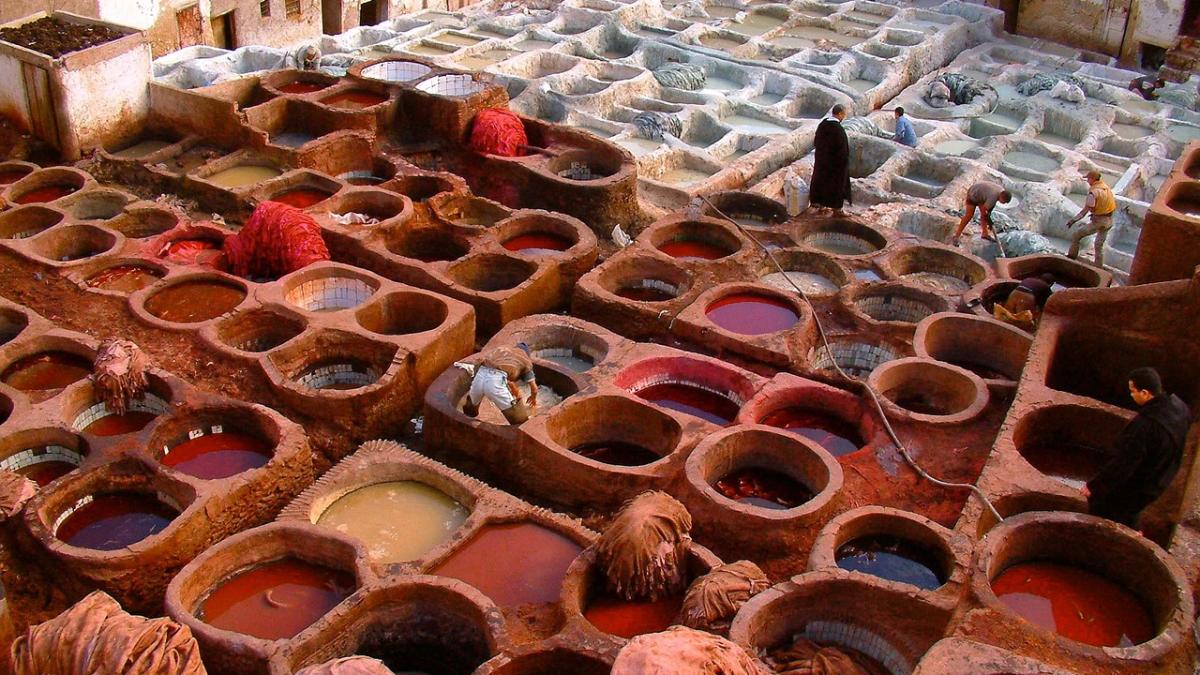 fez_1691601_1280_79561100