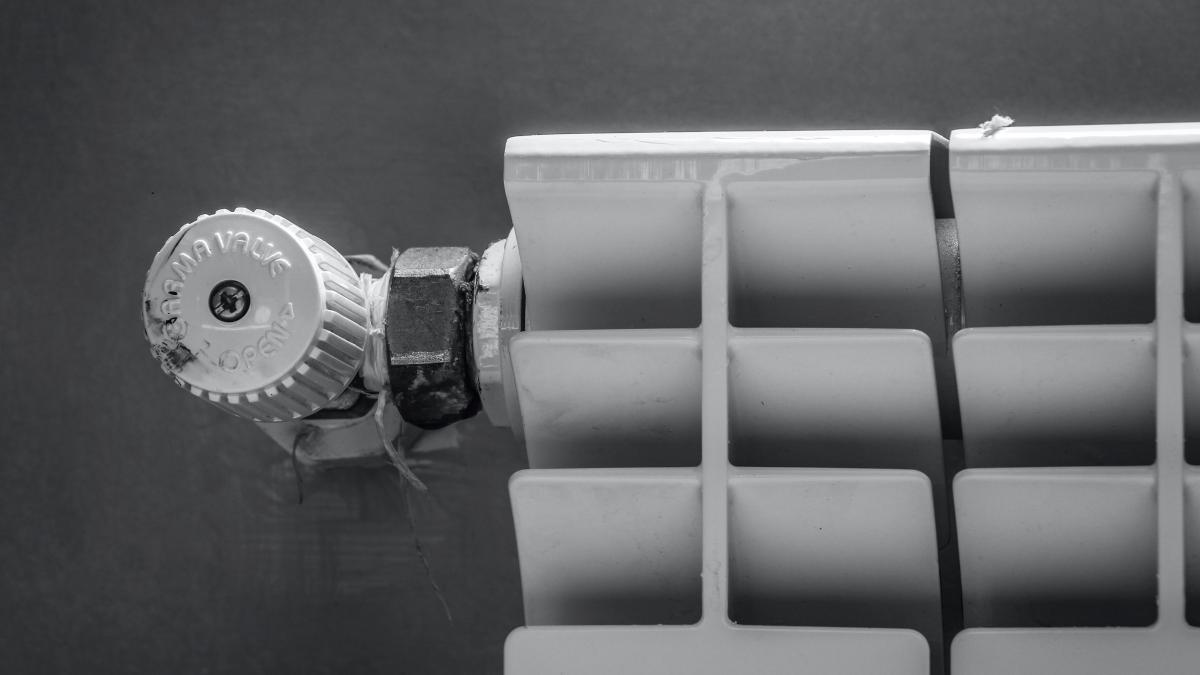 hessam-nabavi-gpu0zxk6o5w-unsplash-2_19118500