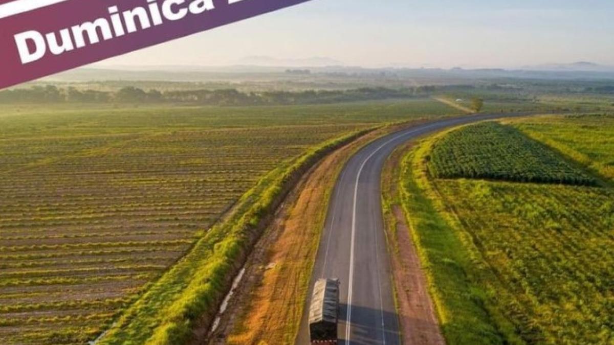 referendum-codlea_47585500