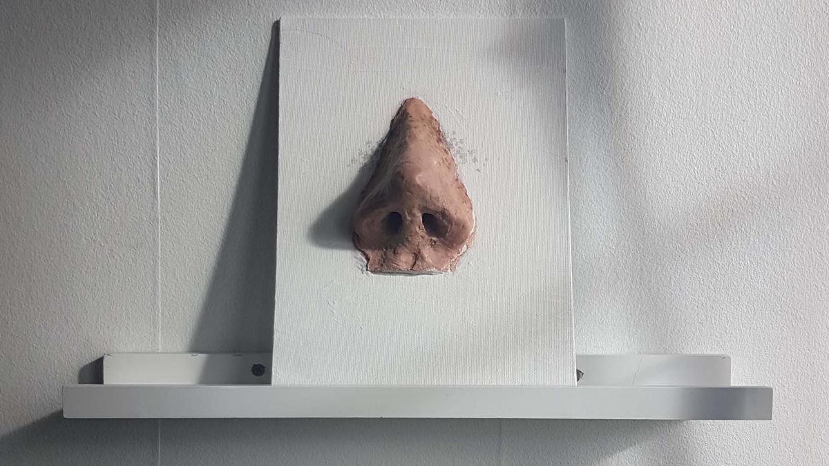 microbiomul-din-nas_62175300