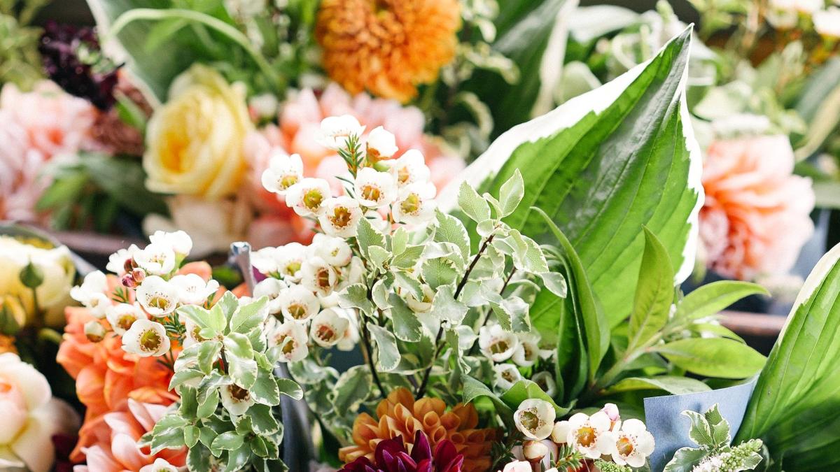 sasha-stories-hnsrm5imnym-unsplash_86118200