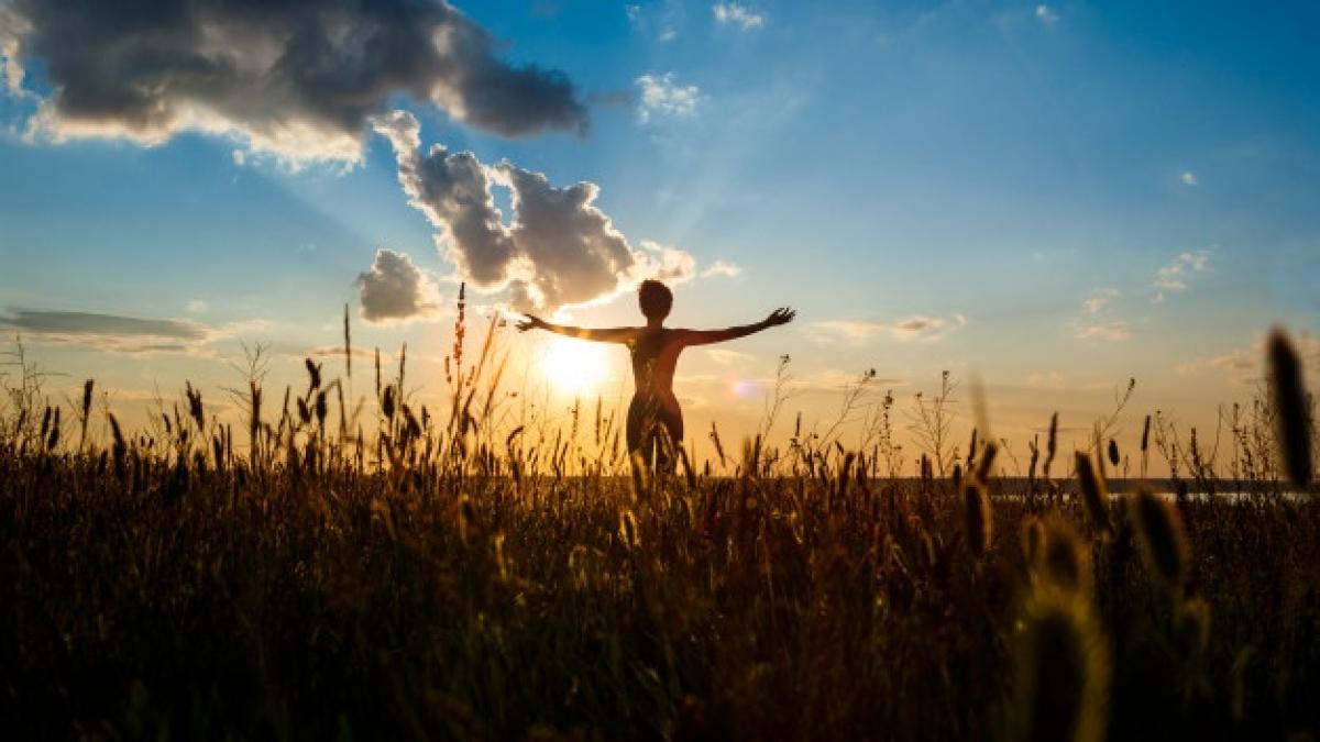 silhouette-sportive-girl-practicing-yoga-field-sunrise_176420-5189_79776600