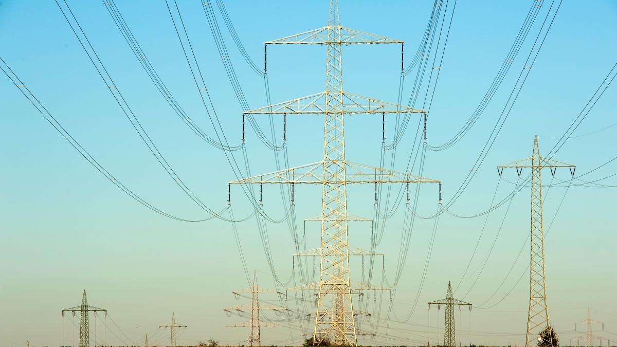 charlotte-venema-wx9zhbpzmqc-unsplash_08441100