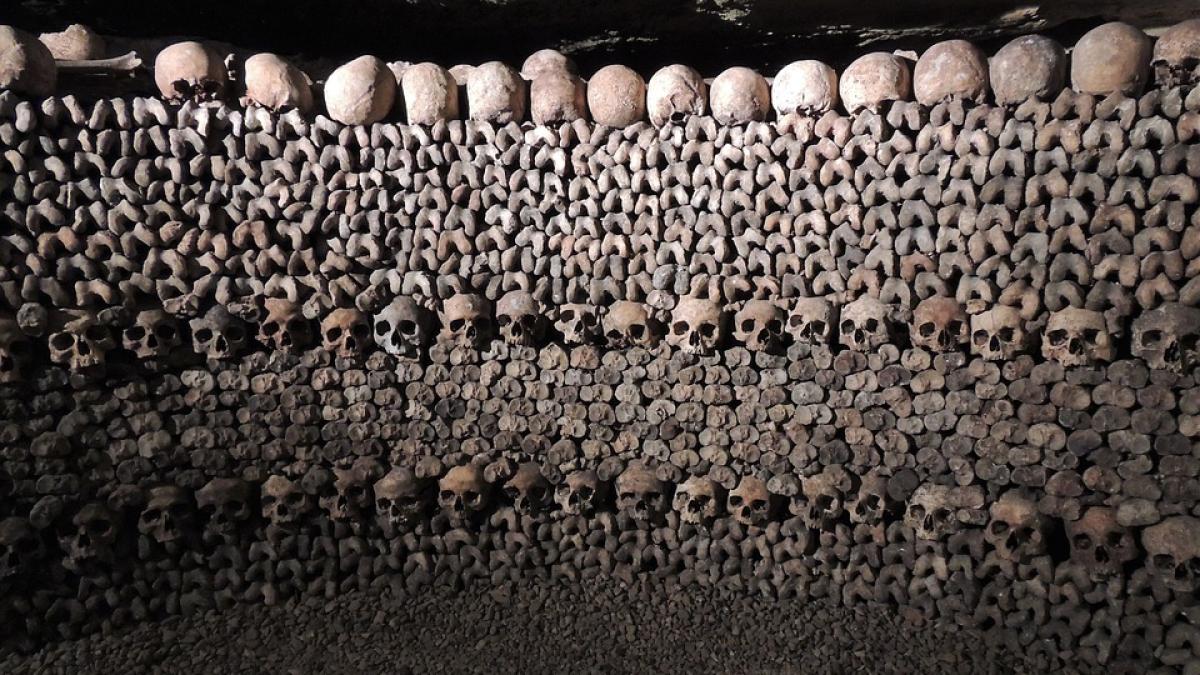 skulls_1233643_960_720_50371300