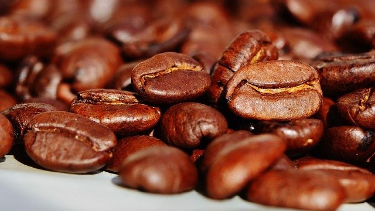 coffee-beans-g71e24972f_640_11213800