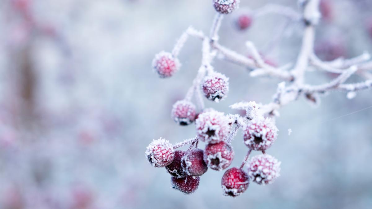 galina-n-agwvcqz1boa-unsplash_29241900