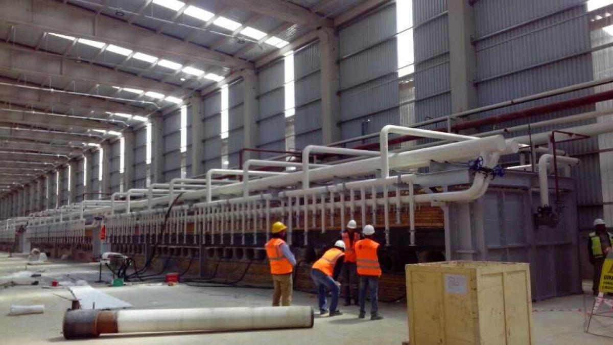 metal-magnesium-plant_52765100