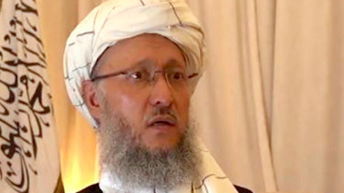 1249618-9273f70fa3319bbccd2c614fd22d5a9f_20207200