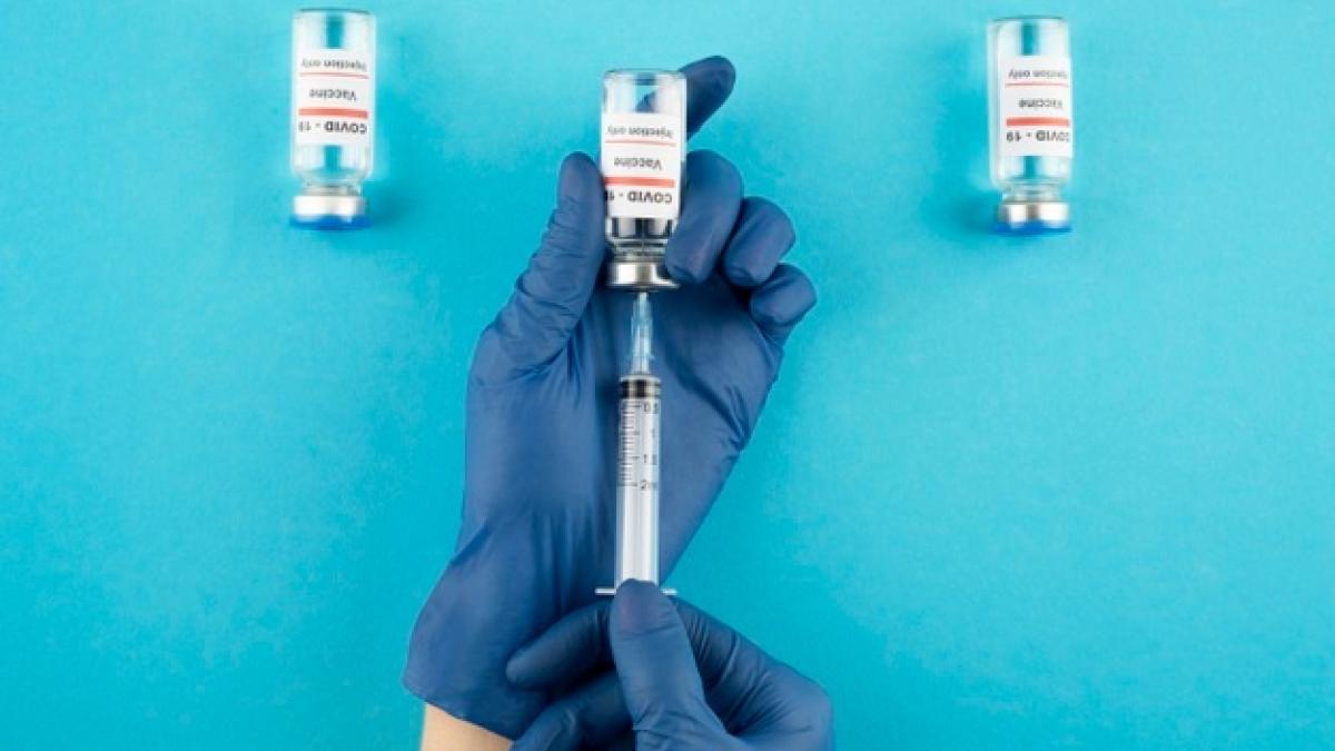 vaccinurilee_86527700