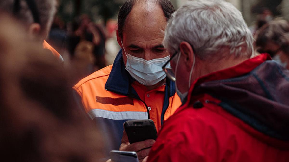 verificare-certificat_51174100