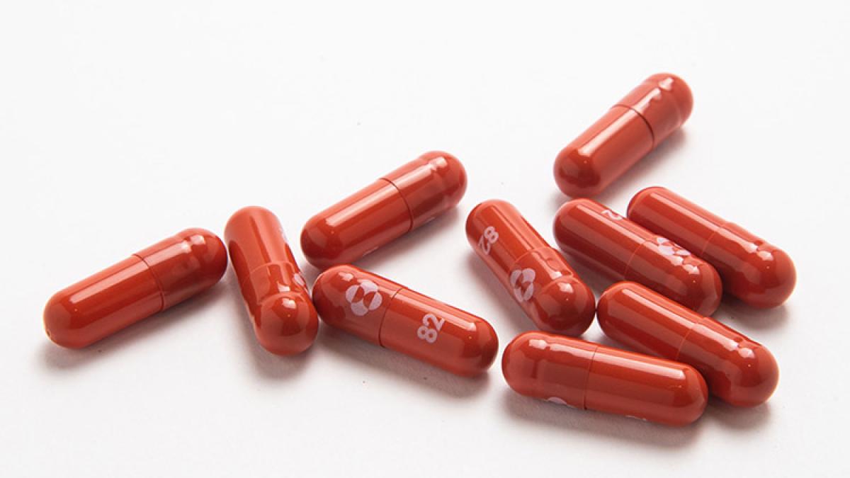 molnu-capsule2_65214500
