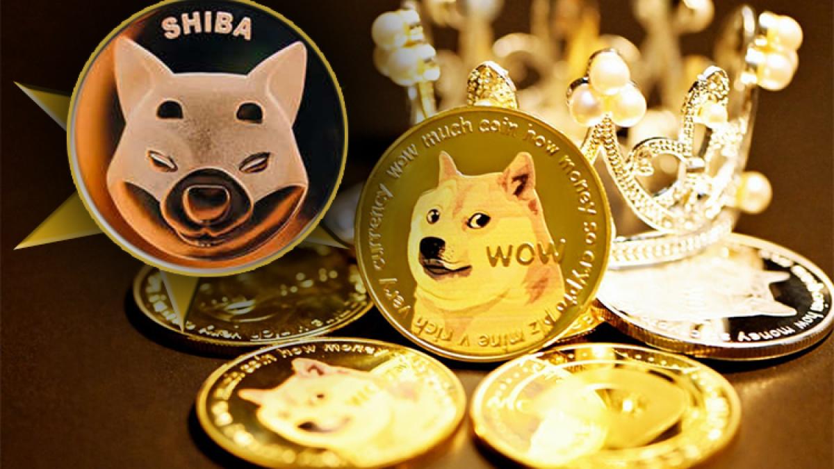 shiba-moneda_15232500