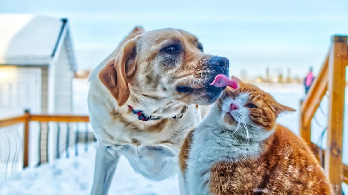 photo-1581171383994-afd540b6a4da_35671000