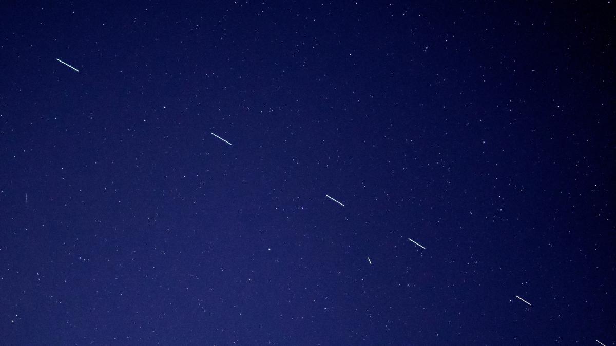 forest-katsch-e-d5igc-_u8-unsplash_01318100