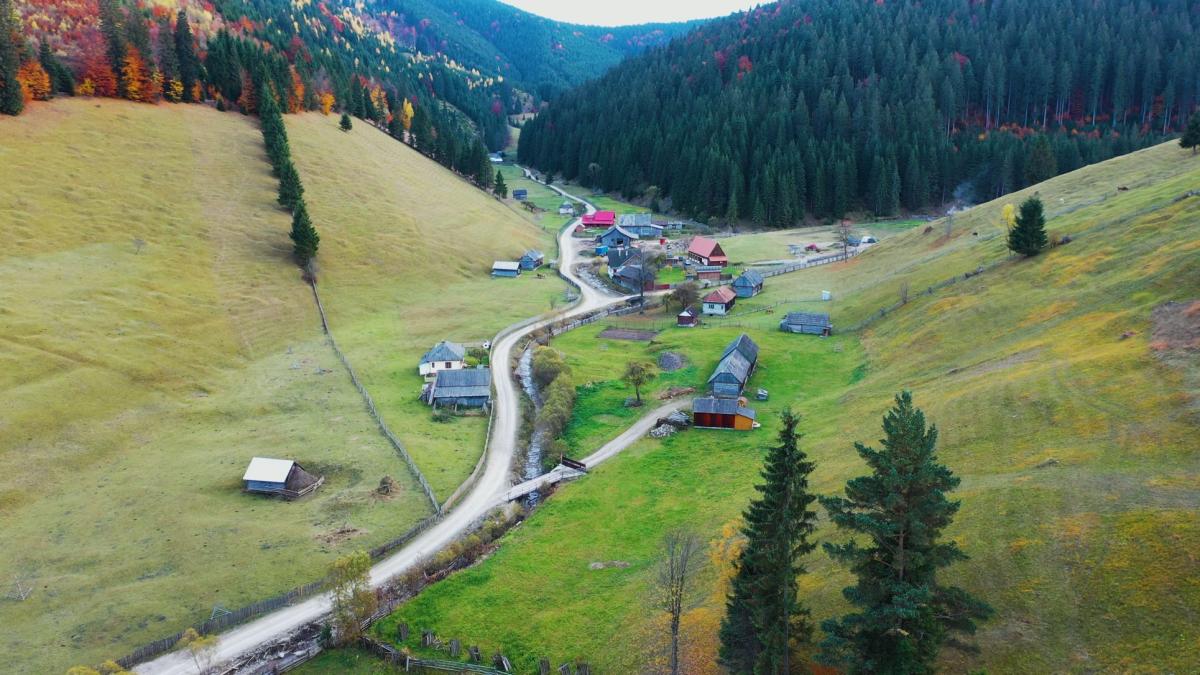 energie-pentru-viata_harghita-7_92744400