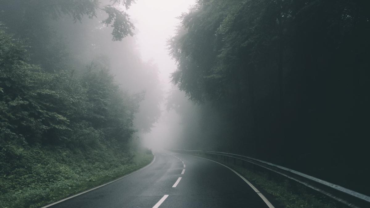 tobias-huske-bj6p5szwqiy-unsplash_06535400