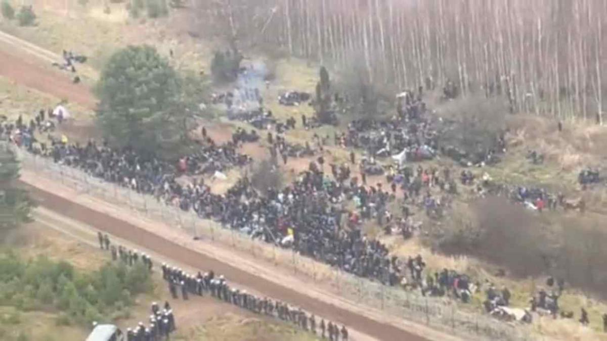 20-wprc-3d1134-qprc-3dlow-cprc-3d0-bild_58200800