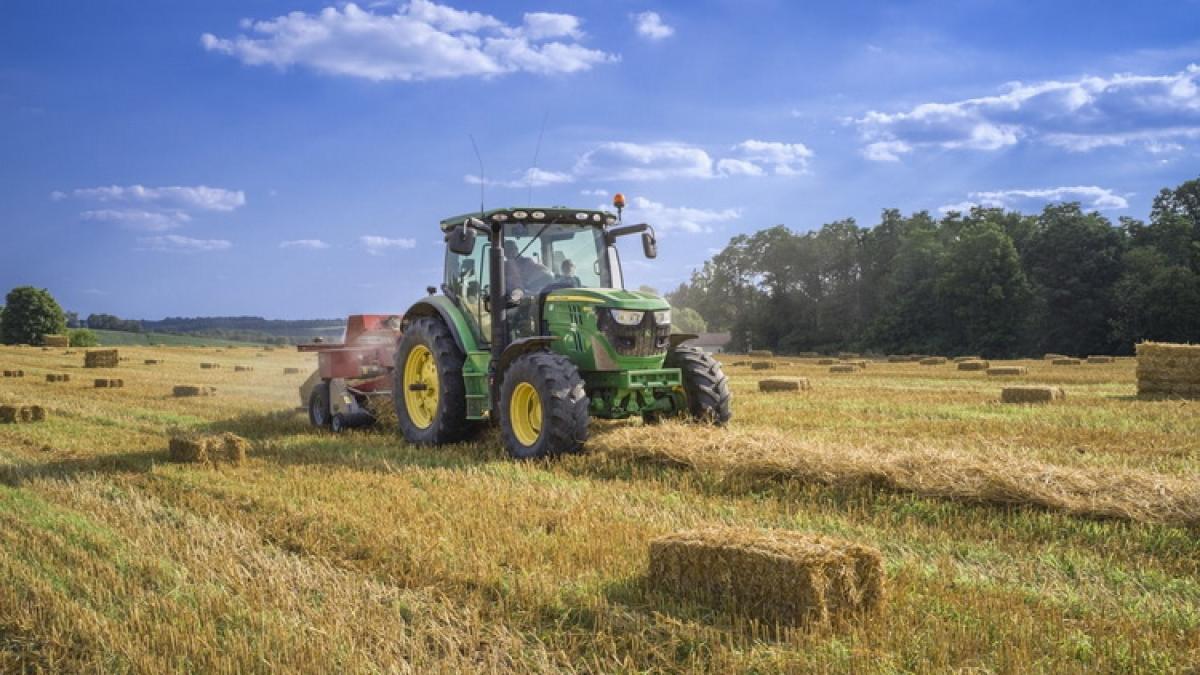 criza-alimentara_resize_57851400