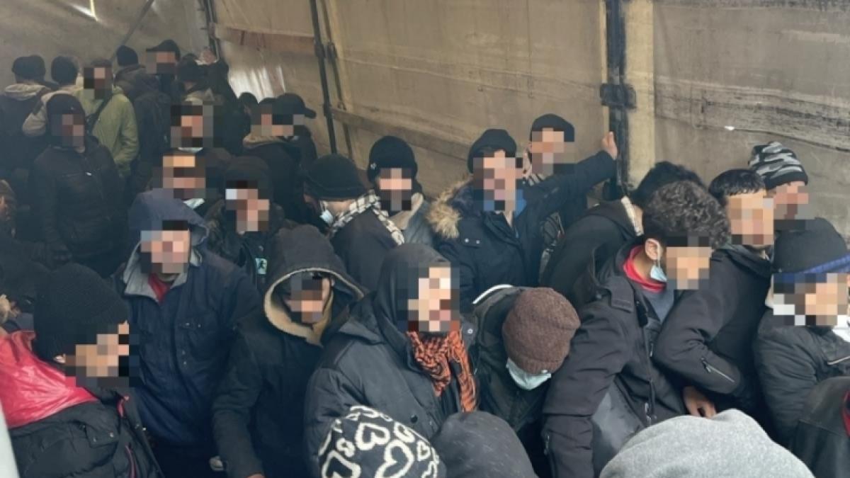 migrans-lead-tolna_73244800