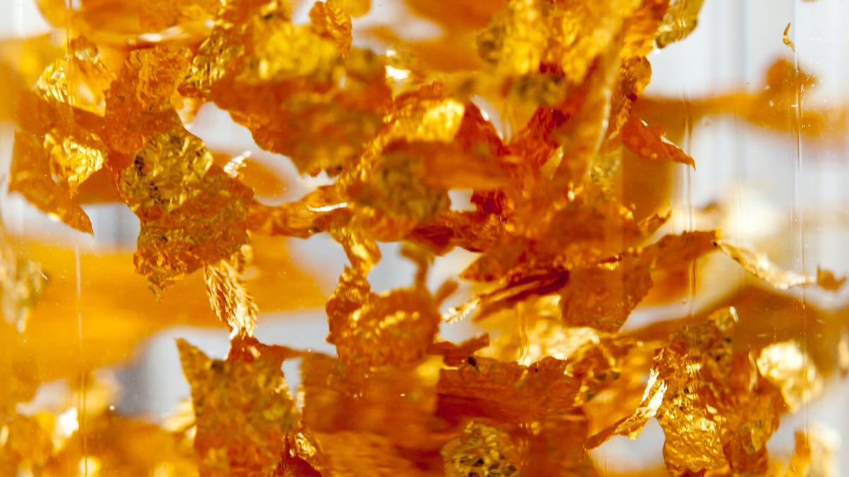 photoholgic--anedy_t-vm-unsplash_72148000