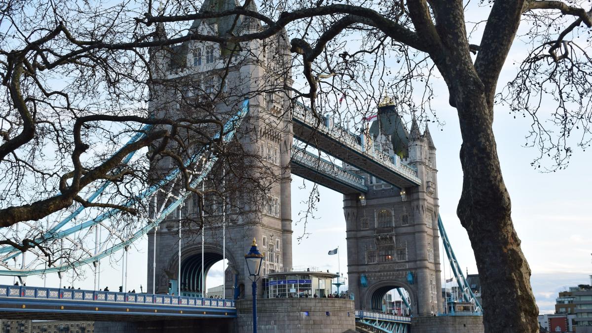 lonlon-ga7afb3d0d_1920_63736600