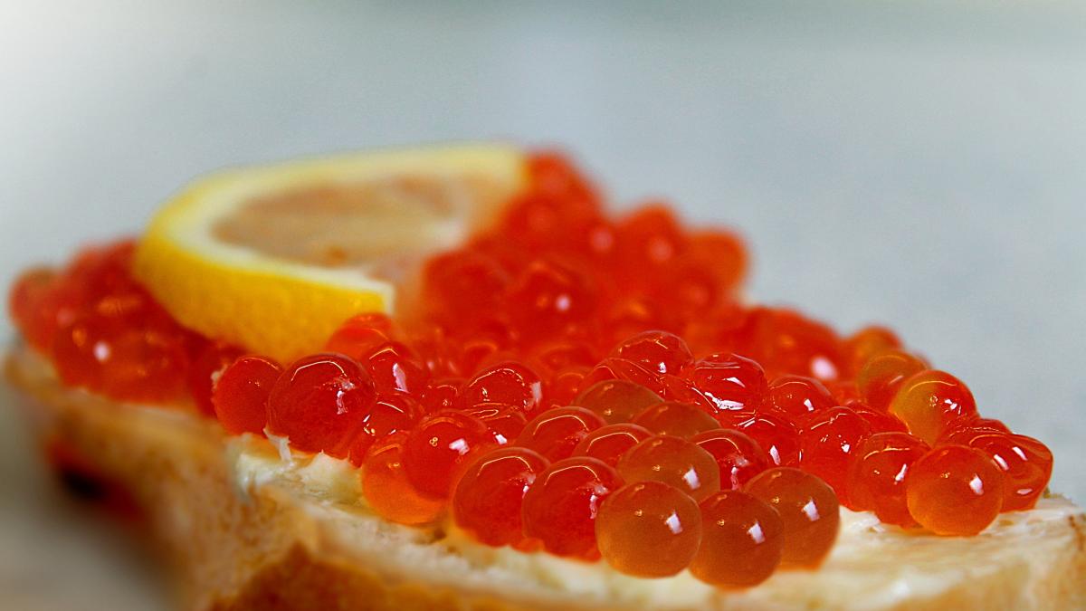red-caviar-g49e44efc7_1920_13245600