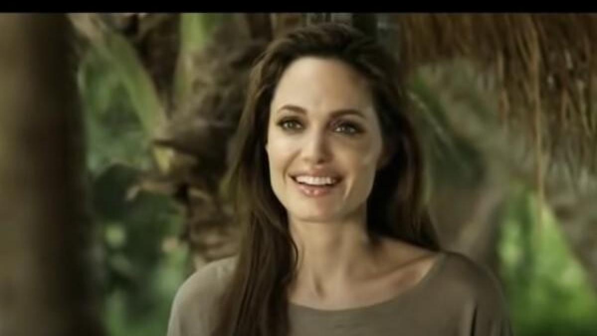 angelina-luis-vuitton_22191400_44579700