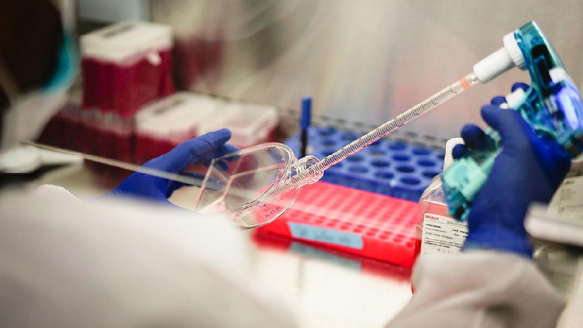 51540057470_b835235d71_c_06974600