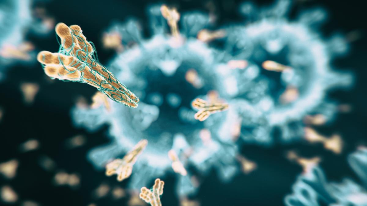 antibody-thumb-m_11220000