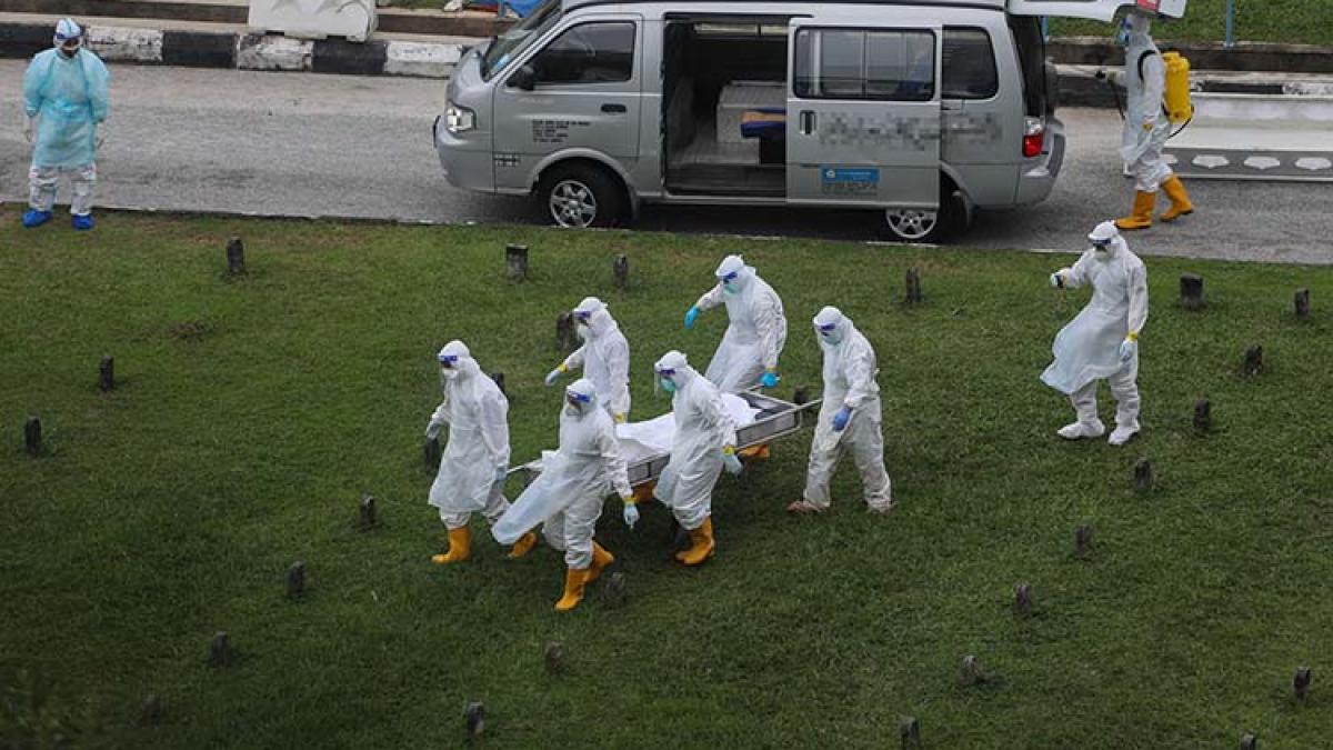 photo-1626261684088-cc71000721b7_59828200