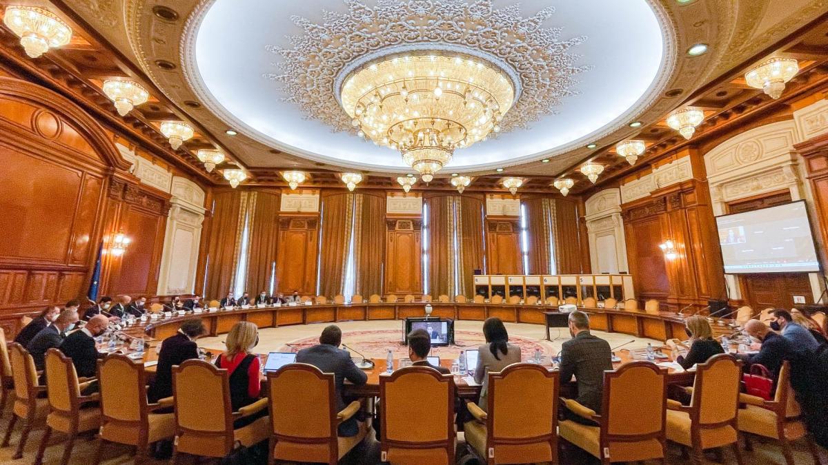 comisie-parlament_16350200